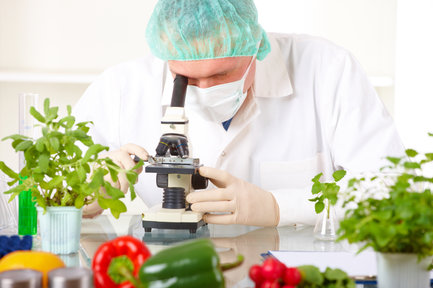 Food certifaction