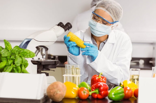 Food certifaction